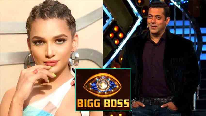 naina singh bigg boss 14