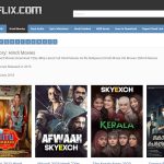 9xflix website