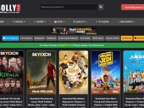 Bollyflix