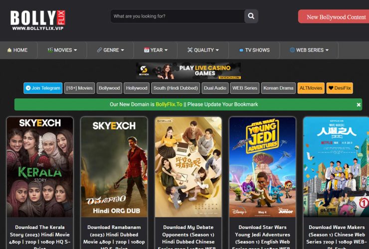 Bollyflix
