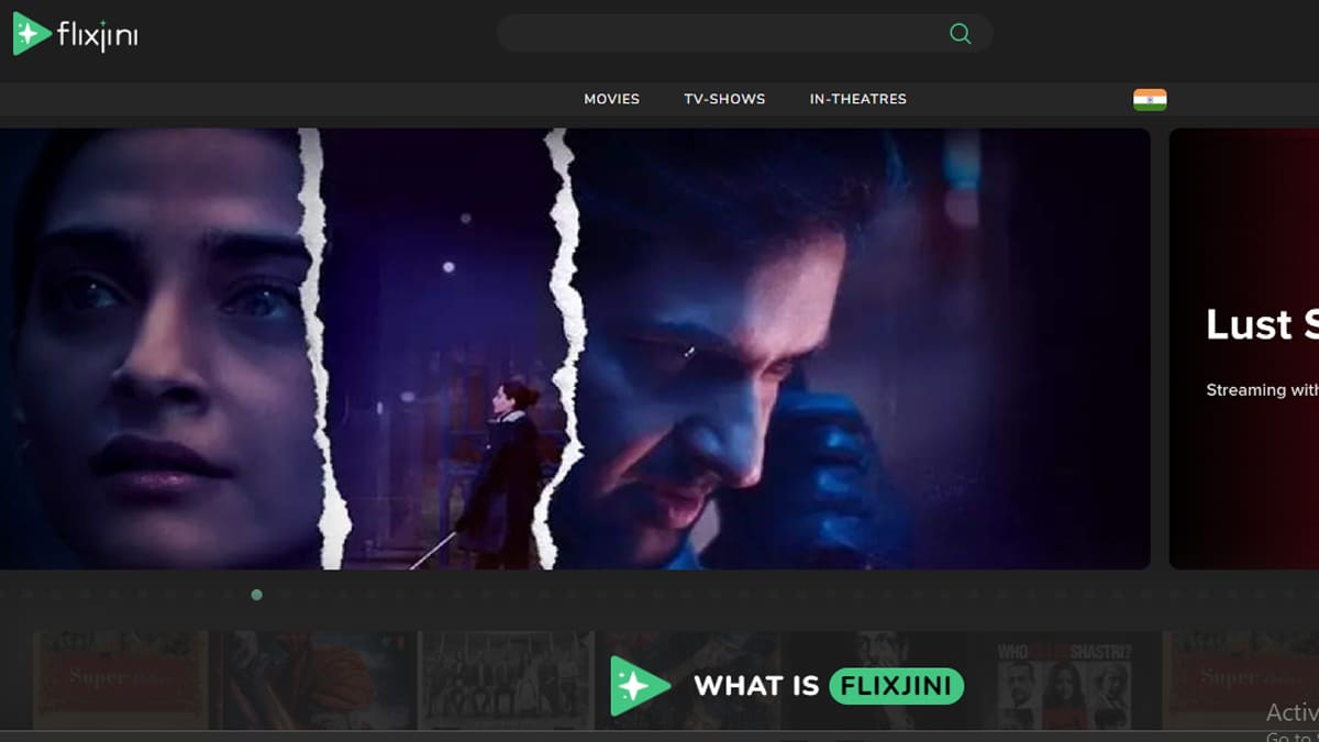 FlixJini